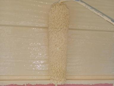 ★「SHANEX シャネックス」★